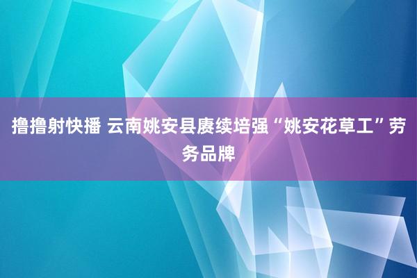 撸撸射快播 云南姚安县赓续培强“姚安花草工”劳务品牌