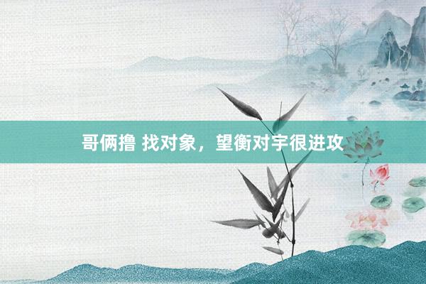 哥俩撸 找对象，望衡对宇很进攻