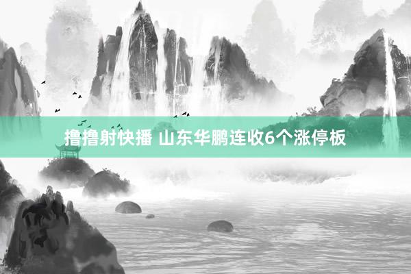 撸撸射快播 山东华鹏连收6个涨停板