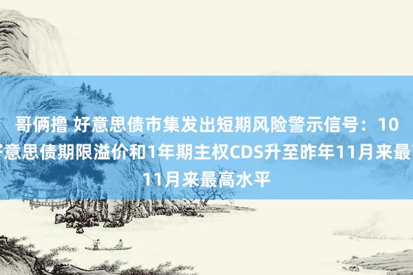 哥俩撸 好意思债市集发出短期风险警示信号：10年期好意思债期限溢价和1年期主权CDS升至昨年11月来最高水平