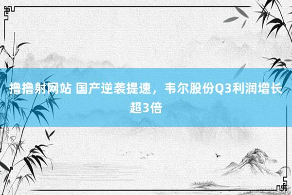 撸撸射网站 国产逆袭提速，韦尔股份Q3利润增长超3倍