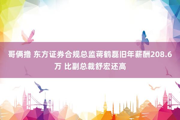 哥俩撸 东方证券合规总监蒋鹤磊旧年薪酬208.6万 比副总裁舒宏还高