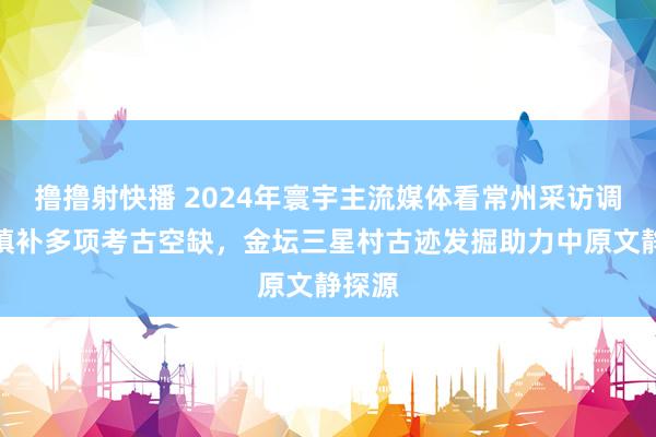 撸撸射快播 2024年寰宇主流媒体看常州采访调研｜填补多项考古空缺，金坛三星村古迹发掘助力中原文静探源