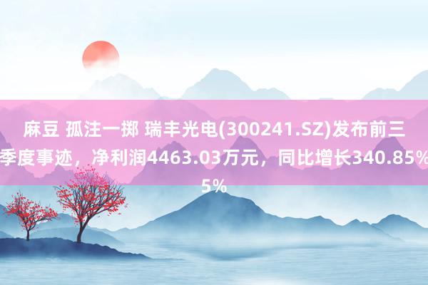 麻豆 孤注一掷 瑞丰光电(300241.SZ)发布前三季度事迹，净利润4463.03万元，同比增长340.85%