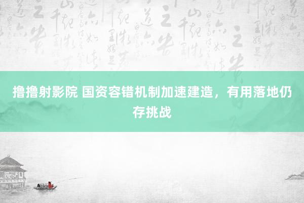 撸撸射影院 国资容错机制加速建造，有用落地仍存挑战