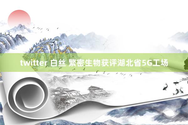 twitter 白丝 繁密生物获评湖北省5G工场