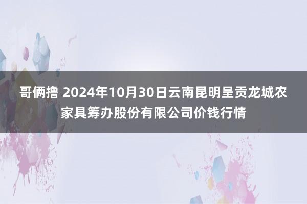 哥俩撸 2024年10月30日云南昆明呈贡龙城农家具筹办股份有限公司价钱行情