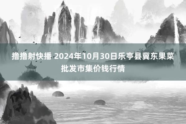 撸撸射快播 2024年10月30日乐亭县冀东果菜批发市集价钱行情