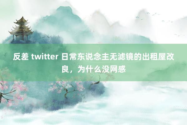 反差 twitter 日常东说念主无滤镜的出租屋改良，为什么没网感