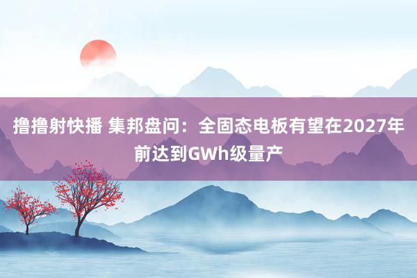 撸撸射快播 集邦盘问：全固态电板有望在2027年前达到GWh级量产