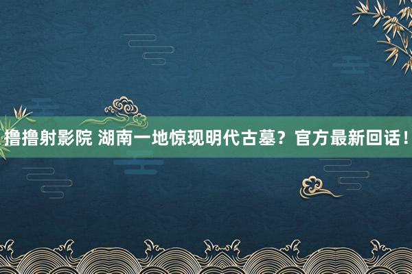 撸撸射影院 湖南一地惊现明代古墓？官方最新回话！