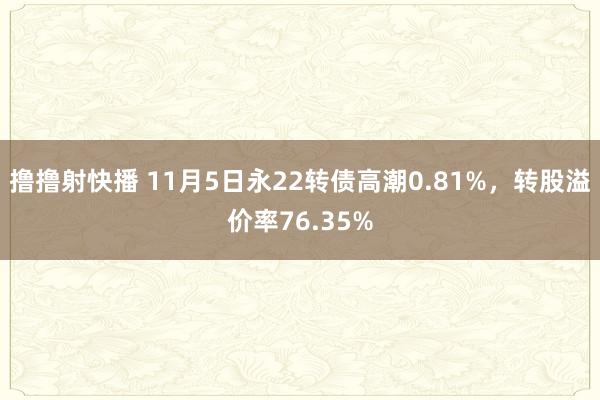 撸撸射快播 11月5日永22转债高潮0.81%，转股溢价率76.35%