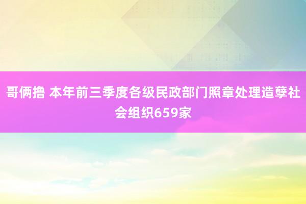 哥俩撸 本年前三季度各级民政部门照章处理造孽社会组织659家