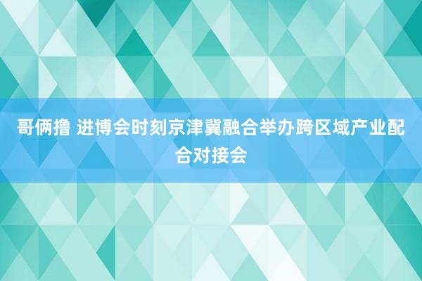 哥俩撸 进博会时刻京津冀融合举办跨区域产业配合对接会