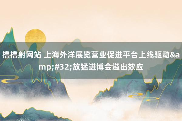 撸撸射网站 上海外洋展览营业促进平台上线驱动&#32;放猛进博会溢出效应