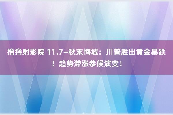 撸撸射影院 11.7—秋末悔城：川普胜出黄金暴跌！趋势滞涨恭候演变！