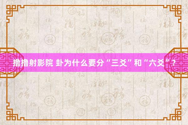 撸撸射影院 卦为什么要分“三爻”和“六爻”？