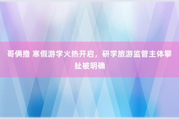 哥俩撸 寒假游学火热开启，研学旅游监管主体攀扯被明确