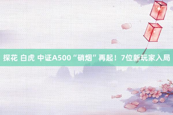 探花 白虎 中证A500“硝烟”再起！7位新玩家入局