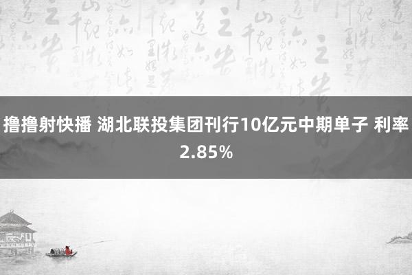 撸撸射快播 湖北联投集团刊行10亿元中期单子 利率2.85%