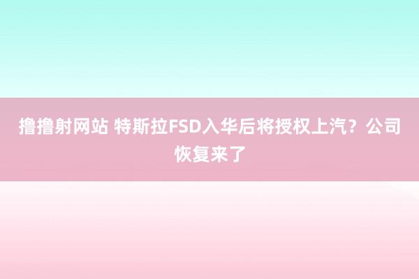 撸撸射网站 特斯拉FSD入华后将授权上汽？公司恢复来了