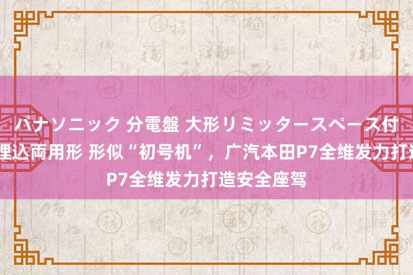 パナソニック 分電盤 大形リミッタースペース付 露出・半埋込両用形 形似“初号机”，广汽本田P7全维发力打造安全座驾