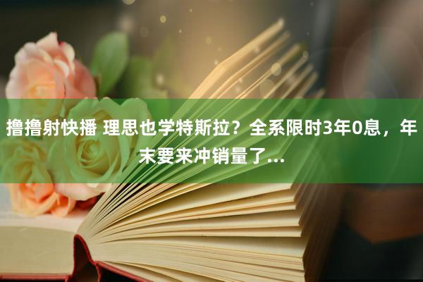 撸撸射快播 理思也学特斯拉？全系限时3年0息，年末要来冲销量了...