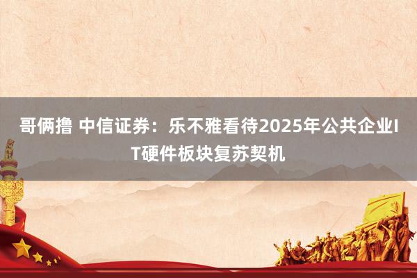 哥俩撸 中信证券：乐不雅看待2025年公共企业IT硬件板块复苏契机