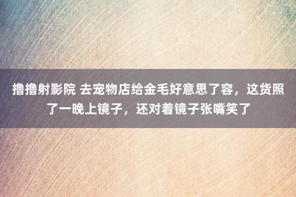 撸撸射影院 去宠物店给金毛好意思了容，这货照了一晚上镜子，还对着镜子张嘴笑了