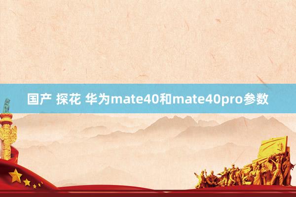 国产 探花 华为mate40和mate40pro参数