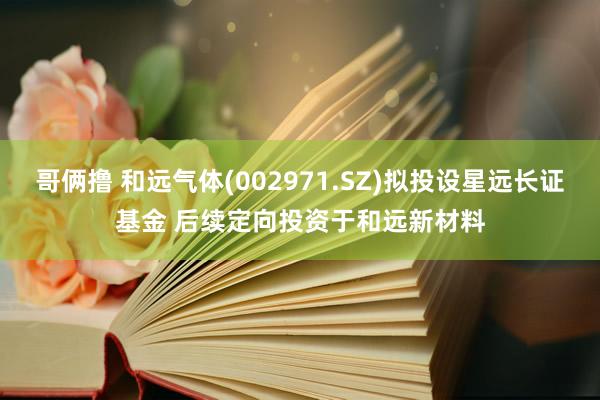 哥俩撸 和远气体(002971.SZ)拟投设星远长证基金 后续定向投资于和远新材料