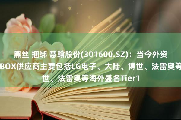 黑丝 捆绑 慧翰股份(301600.SZ)：当今外资车及合股车的TBOX供应商主要包括LG电子、大陆、博世、法雷奥等海外盛名Tier1