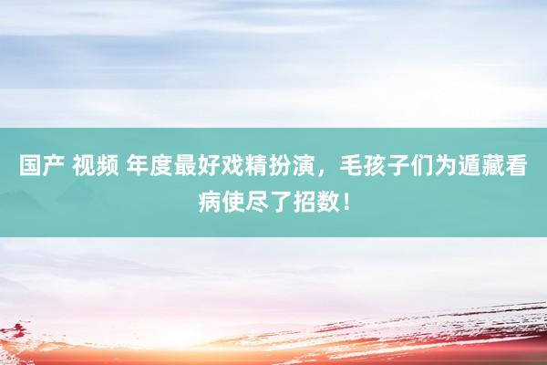 国产 视频 年度最好戏精扮演，毛孩子们为遁藏看病使尽了招数！