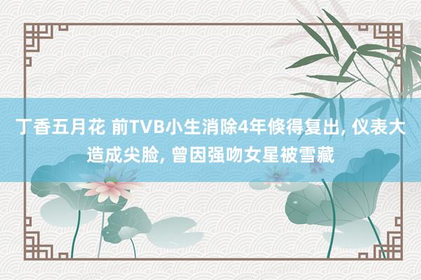 丁香五月花 前TVB小生消除4年倏得复出， 仪表大造成尖脸， 曾因强吻女星被雪藏