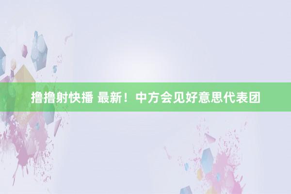 撸撸射快播 最新！中方会见好意思代表团