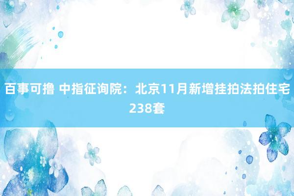 百事可撸 中指征询院：北京11月新增挂拍法拍住宅238套