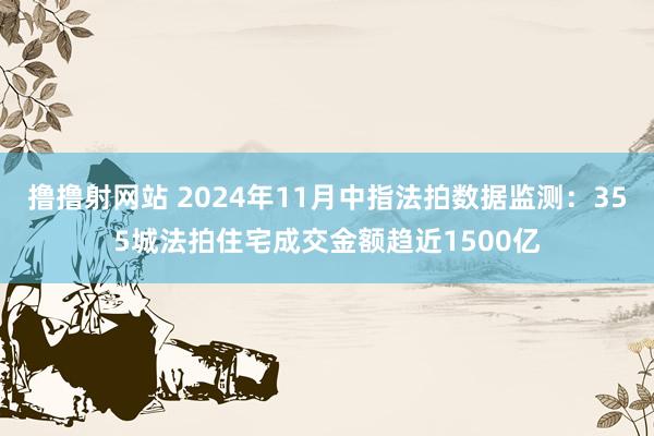 撸撸射网站 2024年11月中指法拍数据监测：355城法拍住宅成交金额趋近1500亿