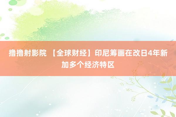 撸撸射影院 【全球财经】印尼筹画在改日4年新加多个经济特区