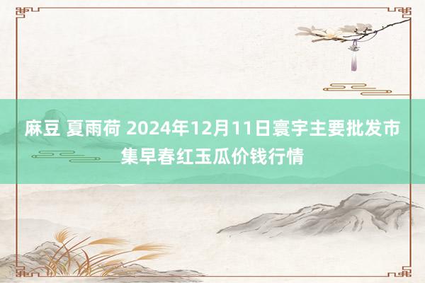 麻豆 夏雨荷 2024年12月11日寰宇主要批发市集早春红玉瓜价钱行情