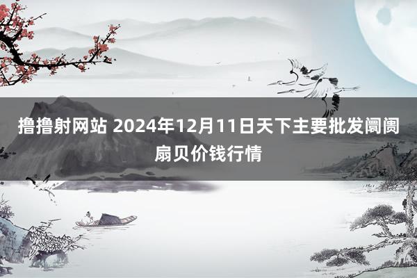 撸撸射网站 2024年12月11日天下主要批发阛阓扇贝价钱行情