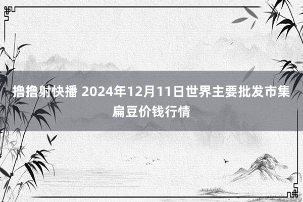 撸撸射快播 2024年12月11日世界主要批发市集扁豆价钱行情