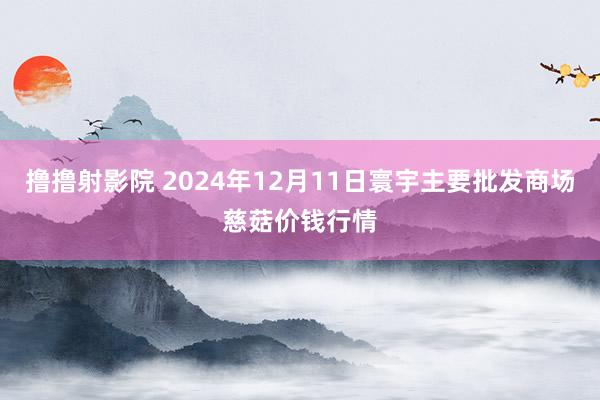 撸撸射影院 2024年12月11日寰宇主要批发商场慈菇价钱行情