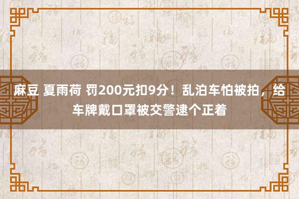 麻豆 夏雨荷 罚200元扣9分！乱泊车怕被拍，给车牌戴口罩被交警逮个正着