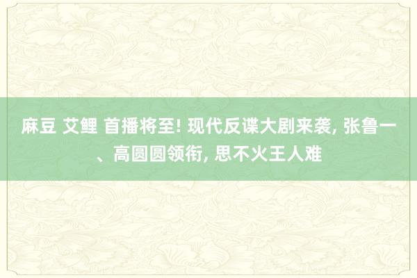 麻豆 艾鲤 首播将至! 现代反谍大剧来袭， 张鲁一、高圆圆领衔， 思不火王人难