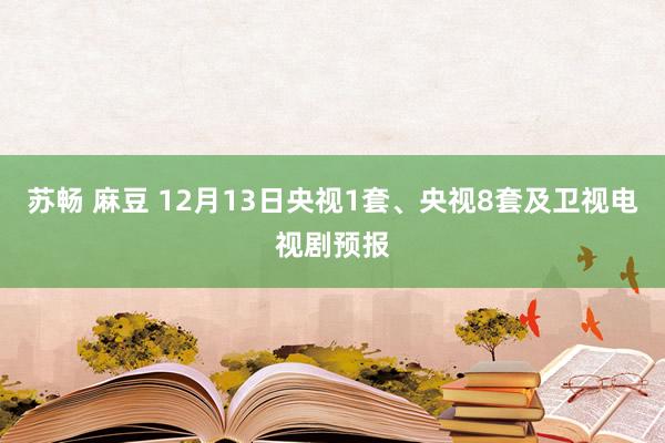 苏畅 麻豆 12月13日央视1套、央视8套及卫视电视剧预报