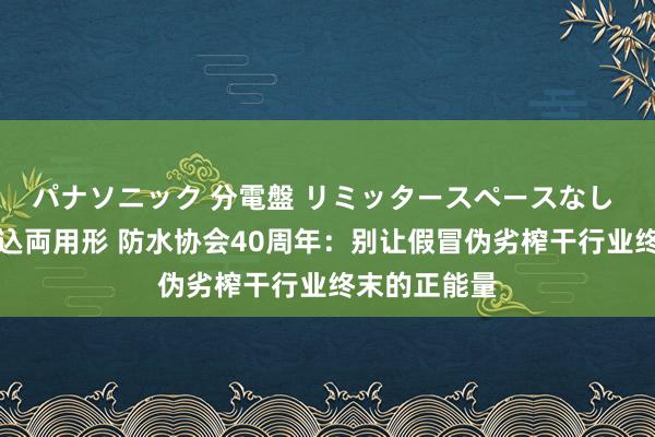 パナソニック 分電盤 リミッタースペースなし 露出・半埋込両用形 防水协会40周年：别让假冒伪劣榨干行业终末的正能量