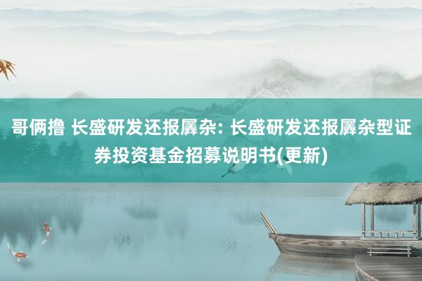 哥俩撸 长盛研发还报羼杂: 长盛研发还报羼杂型证券投资基金招募说明书(更新)