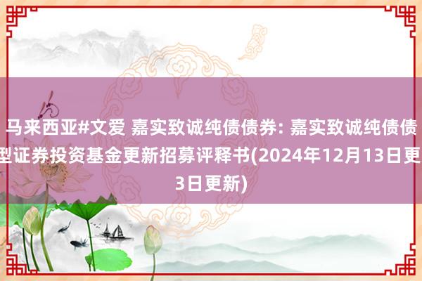 马来西亚#文爱 嘉实致诚纯债债券: 嘉实致诚纯债债券型证券投资基金更新招募评释书(2024年12月13日更新)