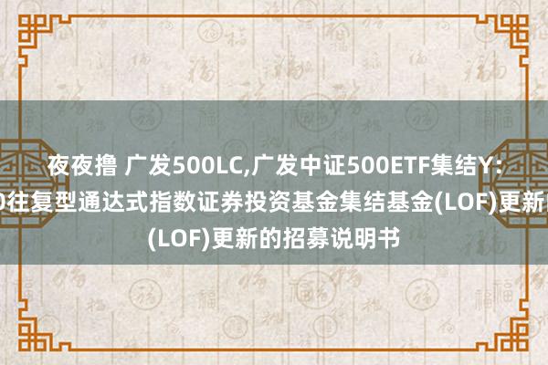 夜夜撸 广发500LC，广发中证500ETF集结Y: 广发中证500往复型通达式指数证券投资基金集结基金(LOF)更新的招募说明书