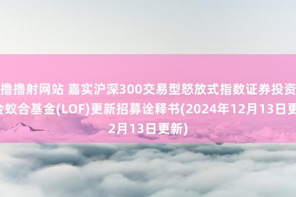 撸撸射网站 嘉实沪深300交易型怒放式指数证券投资基金蚁合基金(LOF)更新招募诠释书(2024年12月13日更新)